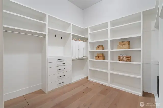 walk-in closet photo 1