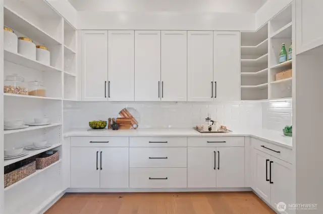walk in pantry with room for another refrigerator, tons of storage, barn door