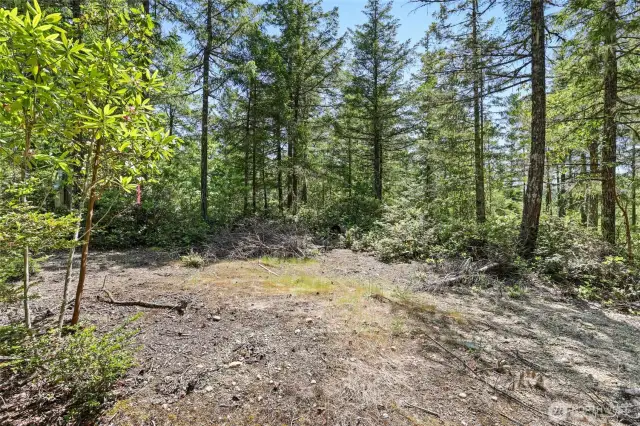 Proposed home site.