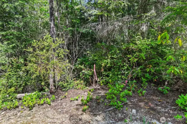 Proposed well site
