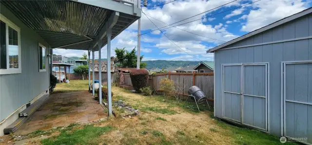 Backyard