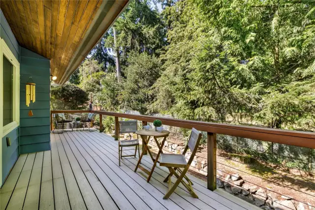 Deck, back side of house