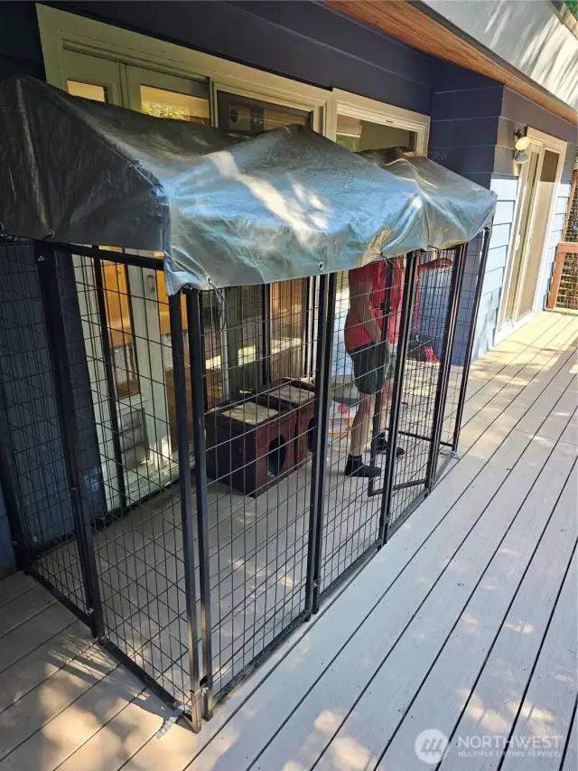 Catio