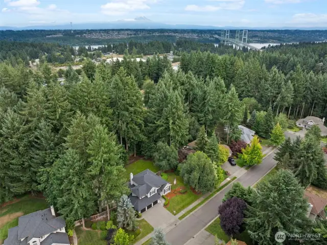 An easy and close commute to the Narrows Bridge makes this neighborhood popular.  Move in ready and updated throughout, you won't want to miss seeing this spectacular home.