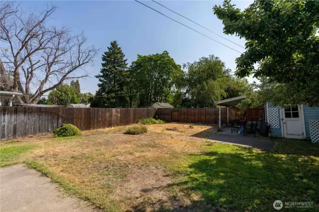 Back yard.