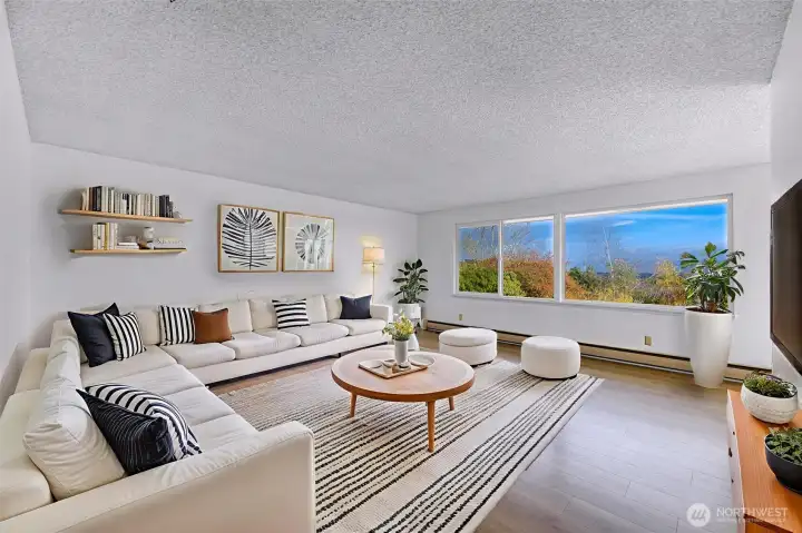 Large living room      (virtual staging)