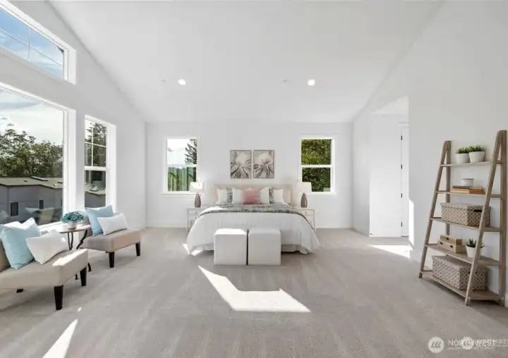 Representative photos