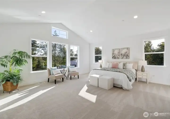 Representative photos