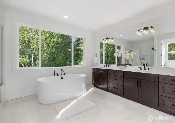 Representative photos