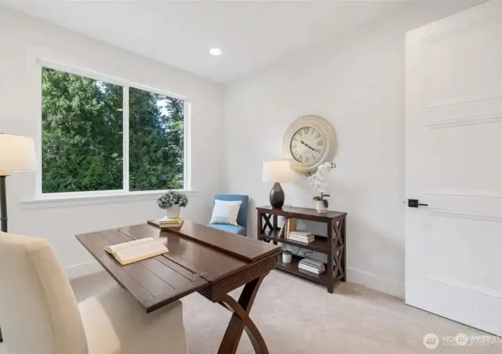 Representative photos