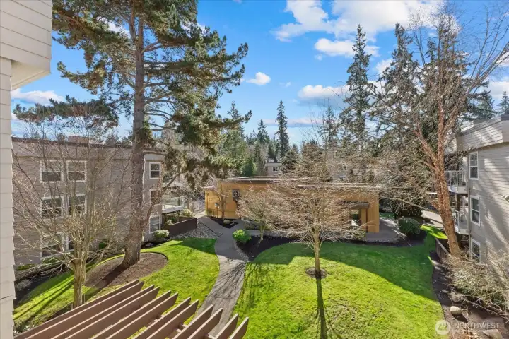 Serene View from Unit