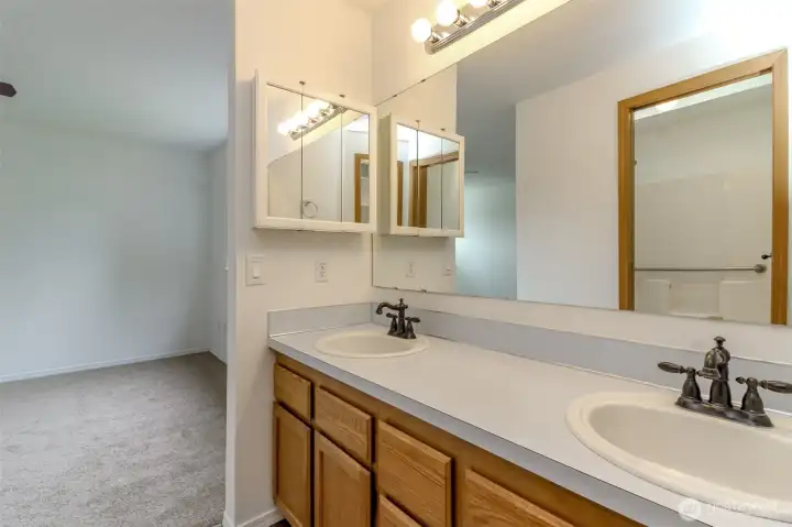 Large Primary Suite. En-suite bath.