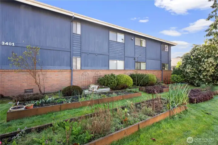 Community garden with designated area per owner