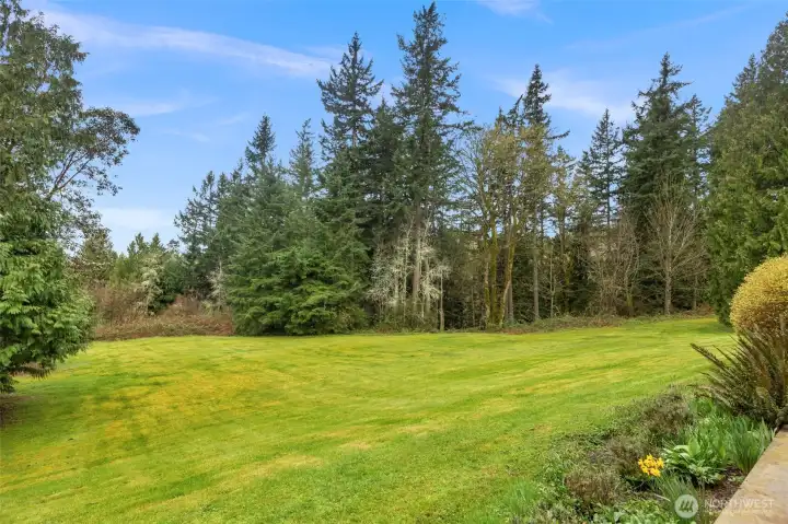 Front yard at the south end of the acreage. Lots of useable space for outdoor activities.