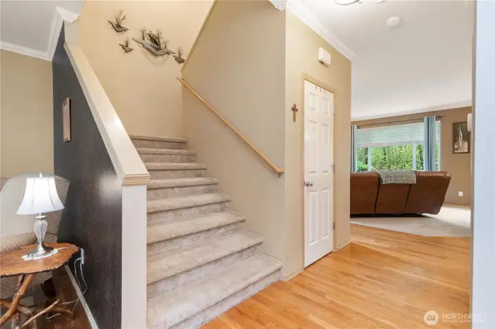 Custom extra large stair case leading you upstairs