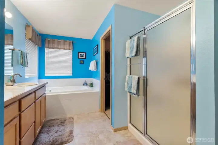 Primary bathroom with closed in toilet, and walk-in closet