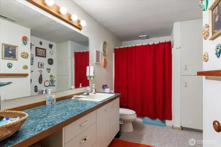 Lower Level Full Bath