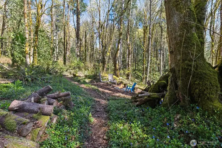 Step directly from your property onto Tiger Mountain, with endless opportunities to explore. Step directly from your property onto Tiger Mountain, with endless opportunities to explore.