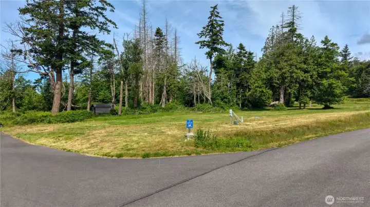 Ground level  photo depicts the level lot with power and Point Roberts water is available.