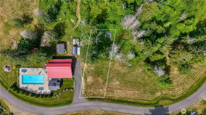 Photo depicting approximate boundary line. Cleared building area.