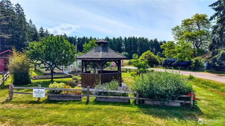 Photo depicting the organic community garden area located in the Seabright cottage.