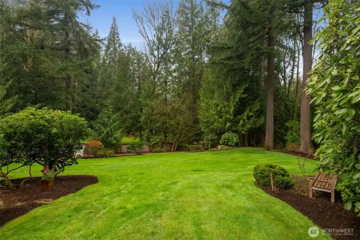 Large grassy lawn for play