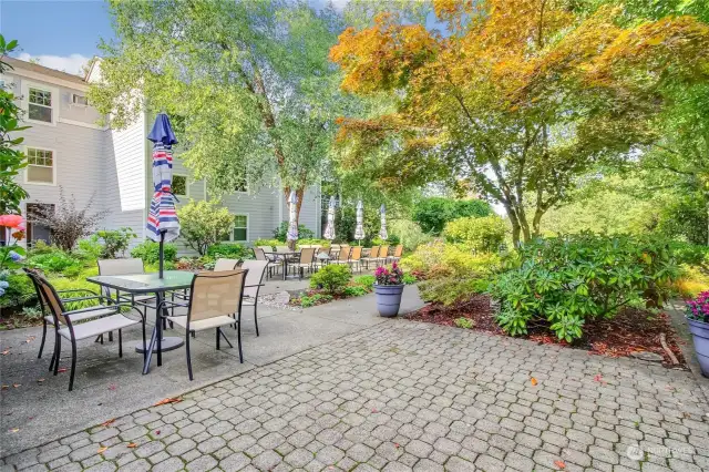 Beautiful courtyard space for community Potlucks, BBQ's, social gatherings and morning coffee.