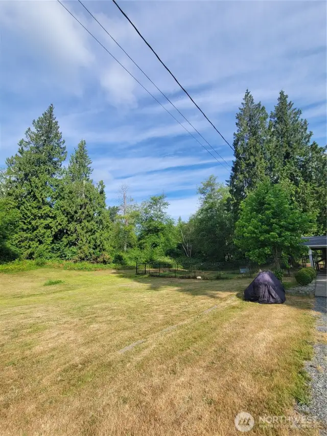 Looking northwest to the corner of the property.