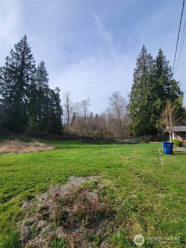 Looking northwest to the corner of the property.