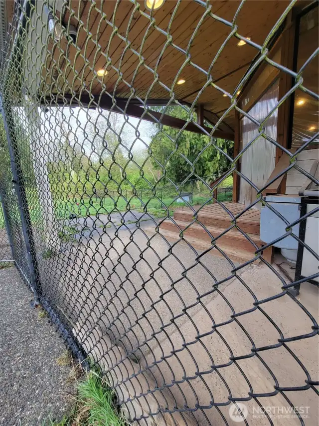 Unheated area of the DogDeck. A dog's dream .... heated DogDeck, come out of the warmth and still be out of the rain. Large DogYard (approx 65 ft long by 35 feet wide) gives plenty of room to run, play and just be a dog!
