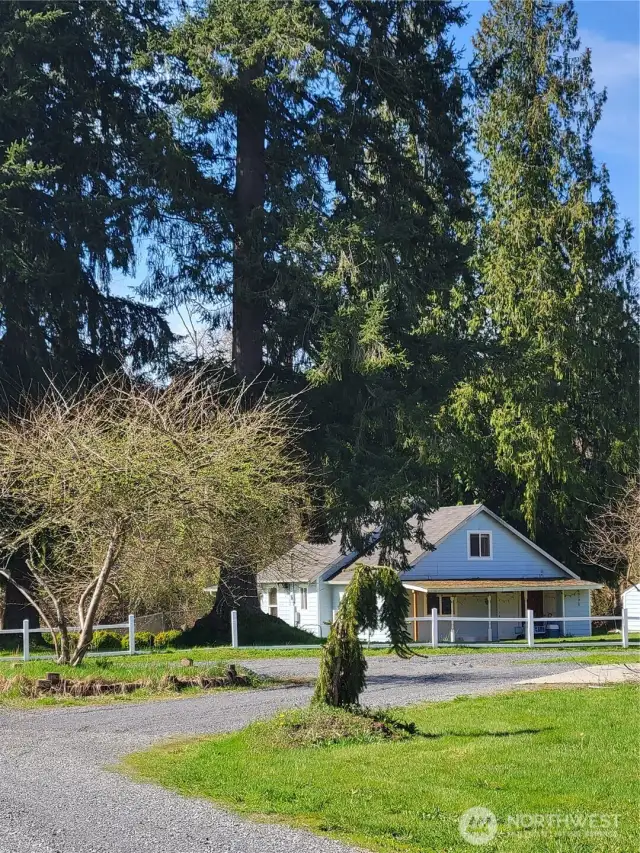 The blue home in the distance, past the fence.