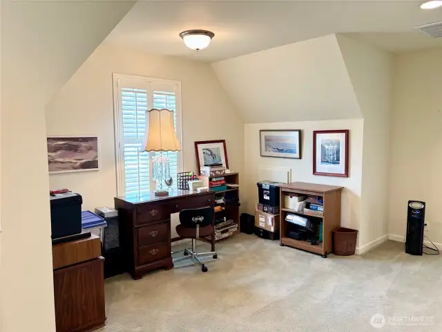 Den/office with lots of daylight. You might alternatively use this space as an in-home gym.