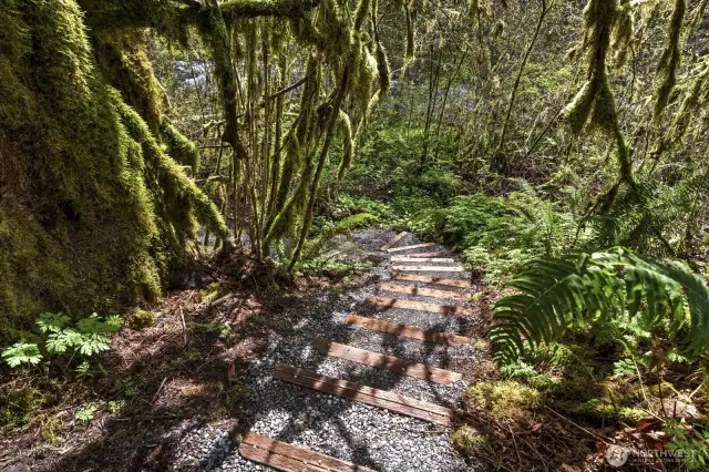 Well-maintained steps lead down to Cherry Creek—a salmon-bearing stream—offering a rare opportunity to experience the beauty of local wildlife and peaceful waters up close.