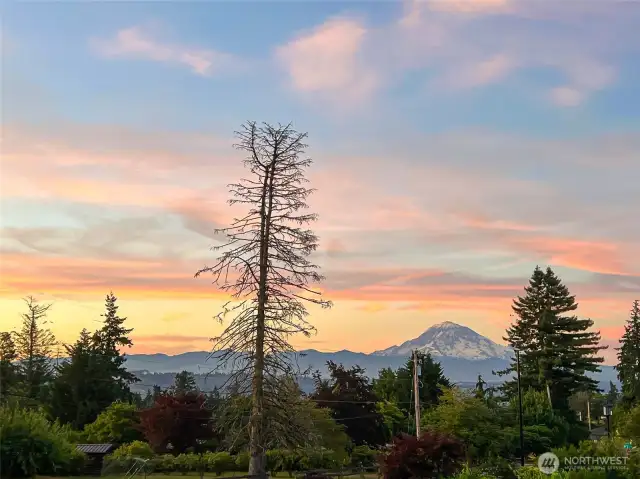 Beautiful Views from all over home.