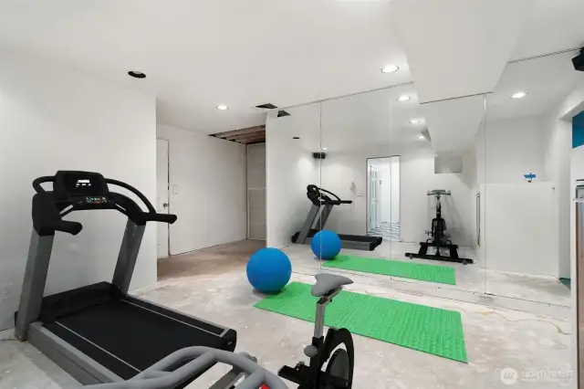 Mirrored room off the lower entry area and next to the garage - perfect and cool for workout space or storage! Virtually staged to show potential of this space!