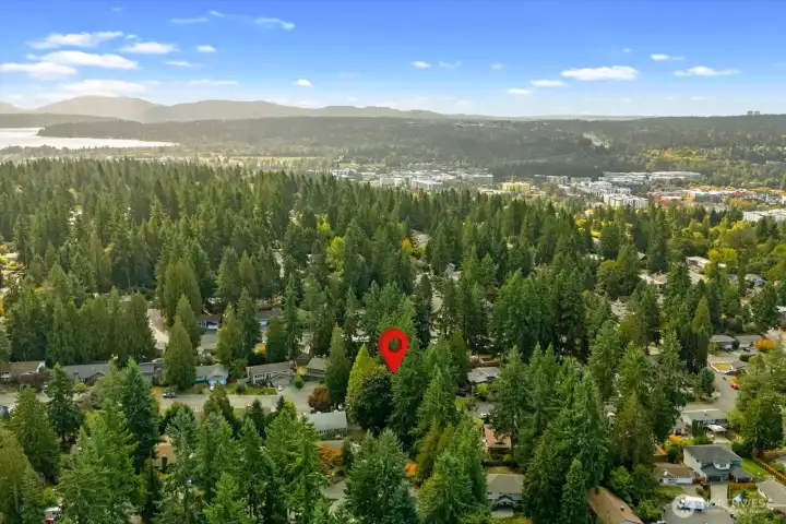 Redmond Town Center and Lake Washington