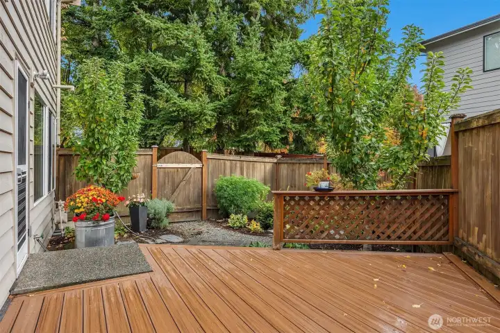 Perfect gardening and relaxing patio backyard.