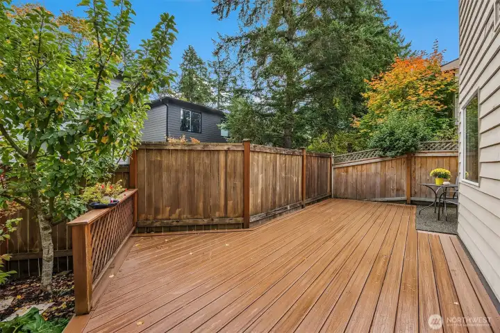 Spacious backyard