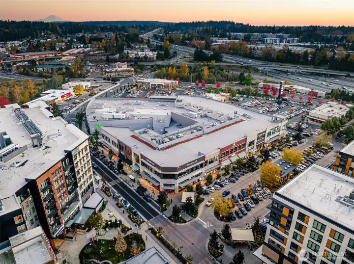 Minutes to Totem Lake Shopping Center - WholeFood, Trader Joe's...& more.