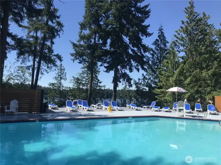 Community pool