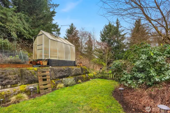 Why buy veggies when you can grow them in our own greenhouse?