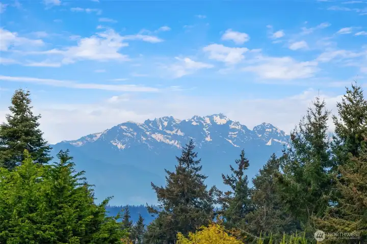 Western views of Olympic Mountains.