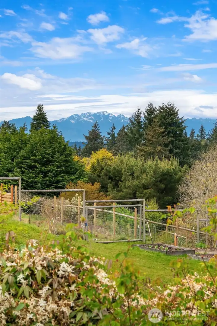 Olympics in the distance.