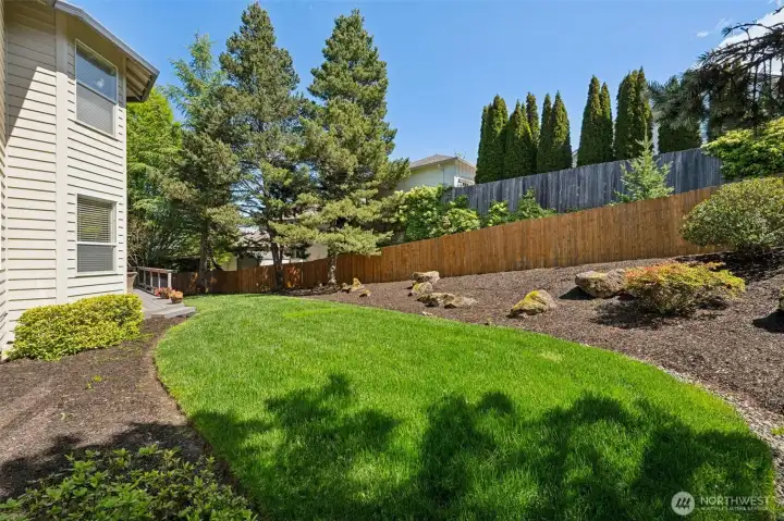 Large fenced backyard