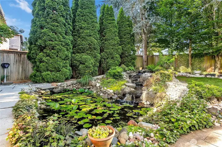 A closer view of the water feature. Its positioning in the yard maximizes both its enjoyment and efficient management of the back yard's overall space.