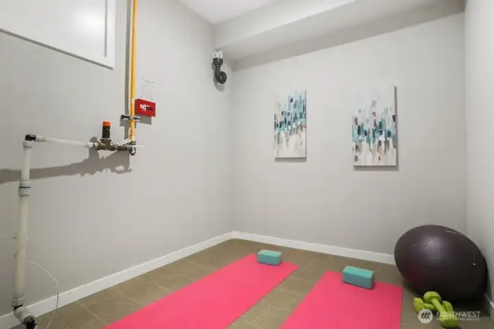 Flex room on the main floor  next to the garage!  Can be used as another office, yoga room or many other possibilities.