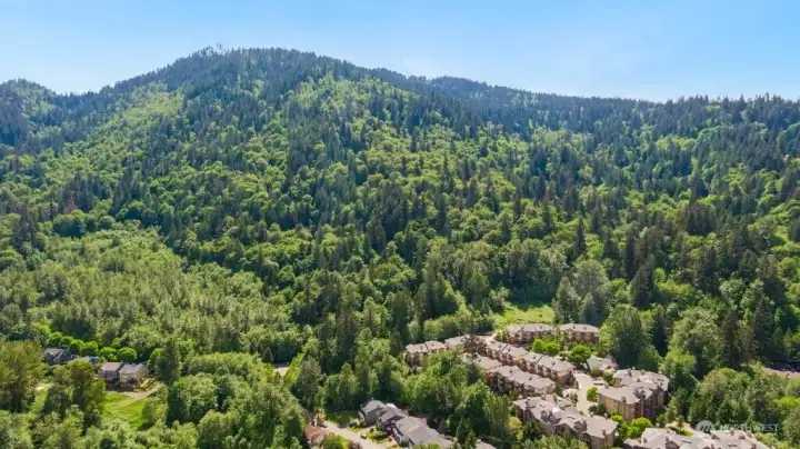 Gorgeous views, excellent location, awesome schools and a Price to sell fast with today's market!  What more could you ask for?  Welcome Home!
