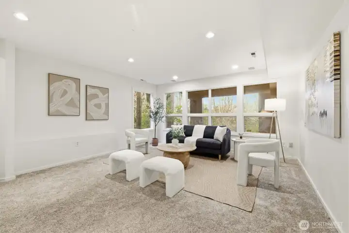 Lower Level Huge Bonus Room