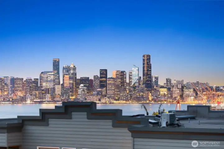 Gorgeous City Skyline at night.