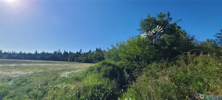 Old Windmill Old Windmill